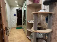 Чилонзар 4 квартал 2/4/4, фотография 4