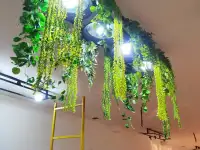 Исскуственное озеленение на стену, Самшит, фотография 4