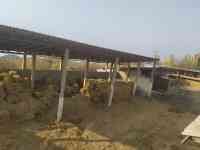 База для сельхоз. или др. бизнеса в Ташобласти, 57 соток. От хозяина, не риелтор., фотография 5