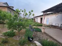 Срочно! Продается участок. Uchastkauy sotiladi, фотография 8