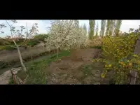 Продается земля под строительство 3.5 сотки, Нуравшан махаля Обод, фотография 7