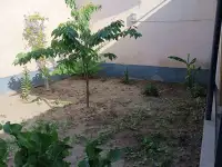 Продаю свой дом участок 2 сот., Миробадский район, фотография 4