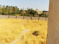 Продаётся дачный участок, фотография 2