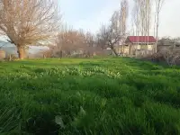 Продаётся Дом! Рядом всё необходимое: Школа, садик, магазины, автосервис!, фотография 5