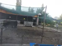 Продажа Ферма Дача, ТашОбл Юкори Чирчик Янги Бозор дахаси, фотография 4