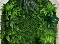 Исскуственное озеленение на стену, Самшит