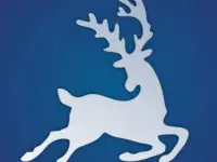 НОВОГОДНИИ ФИГУРЫ ИЗ ПЕНОПЛАССА 2Д, 3Д. НА ЗАКАЗ, фотография 10