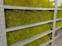 Фторопласт, Капролон, Полиамид, Полипропилен, Стеклотекстолит, Полиуретан, Флубон, фотография 4