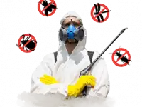 Услуги Дезинфекция, фотография 3