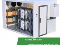 Строительство холодильных камер с нуля, фотография 2