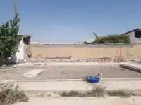 900344565, ташкент шахар сергели тумани номданак 60 уй, фотография 6