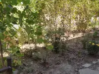 Продается 3х комнатная квартира в таш обл Карасу, фотография 2