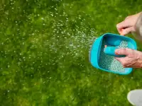 Комплексный уход за газоном и Хвойными, фотография 3