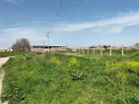 10 га Новый Ташкент, фотография 4