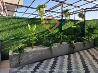 ECODEC GREEN Suniy yashil dekorativ devor Зелёный забор, фотография 4