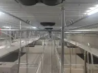 Оборудование Big Ducthman для свинокомплекса по выращиванию свиней из Китайского производителя., фотография 12