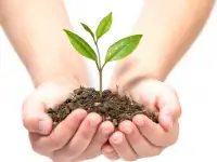 Б И О Г У М У С - Цена договорная!