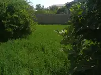 Продаётся, дом!, Город самарканд,пастдаргомский район посёлок Караганда! Орентир 72 школа!, фотография 2