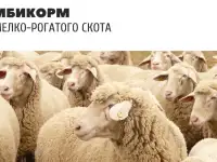 Комбикорма для лошади, коровы, баранов, бройлер, кролики и рыбы (Казахстан), фотография 3