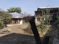 Дом участок 10 соток Сергели, ,район Янги хает, ул. Чартак д.31, фотография 5