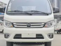 FATON  Gratour TM300 5 SEATS    5 местный, фотография 3