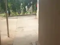 Срочно продается участка, Мирзо Улугбекский раён Лимонария, фотография 3