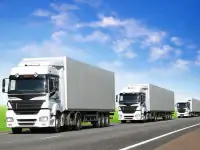 Доставка транспортом Пункт отпр.: Алматы; Белорецк; Казань; Казахстан...