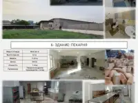 производственно складская площадка в г.Нурабад Ахангаранского района, фотография 3