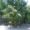 Продам дом, Сергелийский район улица Олчазор, фотография 3