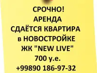 Сдаётся квартира в Новостройке, улица Махтумкули