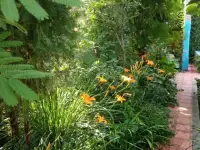 Продам Дом - Дача .Кадастр Яшнабадский район , возле реки Чирчик, фотография 5