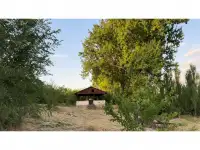 Бывший пионерский лагерь, Краснагорск, фотография 6