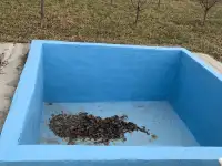 ПРОДАЁТСЯ ДАЧА!, область. Нурафшон(Бывшая туйтепа) Дачи Акмаль Икром, фотография 11