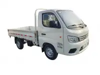 FATON  Gratour TM300 2 SEATS    2 местный, фотография 6