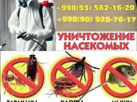 Услуги Дезинфекция, фотография 6