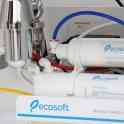 Фильтр для очистки воды Ecosoft Standard с насосом, фотография 4