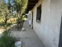 Продажа земли сельскохозяйственного назначения, Toshkent viloyati, Yangiyo'l tumani, Qora tepa MFY, Guliston ko'chasi, 56-uy., фотография 4