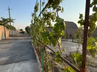 Продается дача возле Ташморя