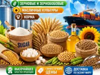 Сахар, зерновые и зернобобовые, масличные культуры, корма в Узбекистане