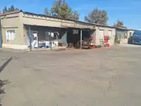 Продается 1 гектар в Янгиюле, фотография 2