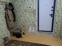 Сдам 3-х комнатную квартиру, Зарафшан, 12 микр, фотография 5