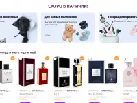 Готовый интернет-магазин или маркетплейс, фотография 3