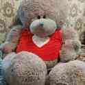 Teddy bear