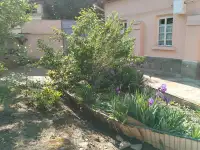 Сдам дом, Халк дустлиги 32