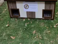 Здравствуйте  хочу  предложить вам домики для кошек. Изготовление и доставка  домиков для кошек любых размеров и форм. У, фотография 4