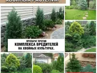 Комплексный уход за газоном и Хвойными, фотография 9