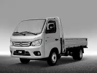 FATON  Gratour TM300 2 SEATS    2 местный, фотография 8