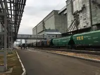 Высококачественное подсолнечное масло оптом от производителя, фотография 2