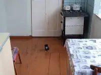 Продается дом, земля 6 соток., фотография 6