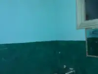 Продам 2 комнатную квартиру ,, Улица Артыкова дом 3 КВ 10, фотография 2